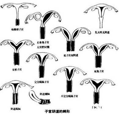 兰州整形科哪个医院好,兰州整形哪家医院最好