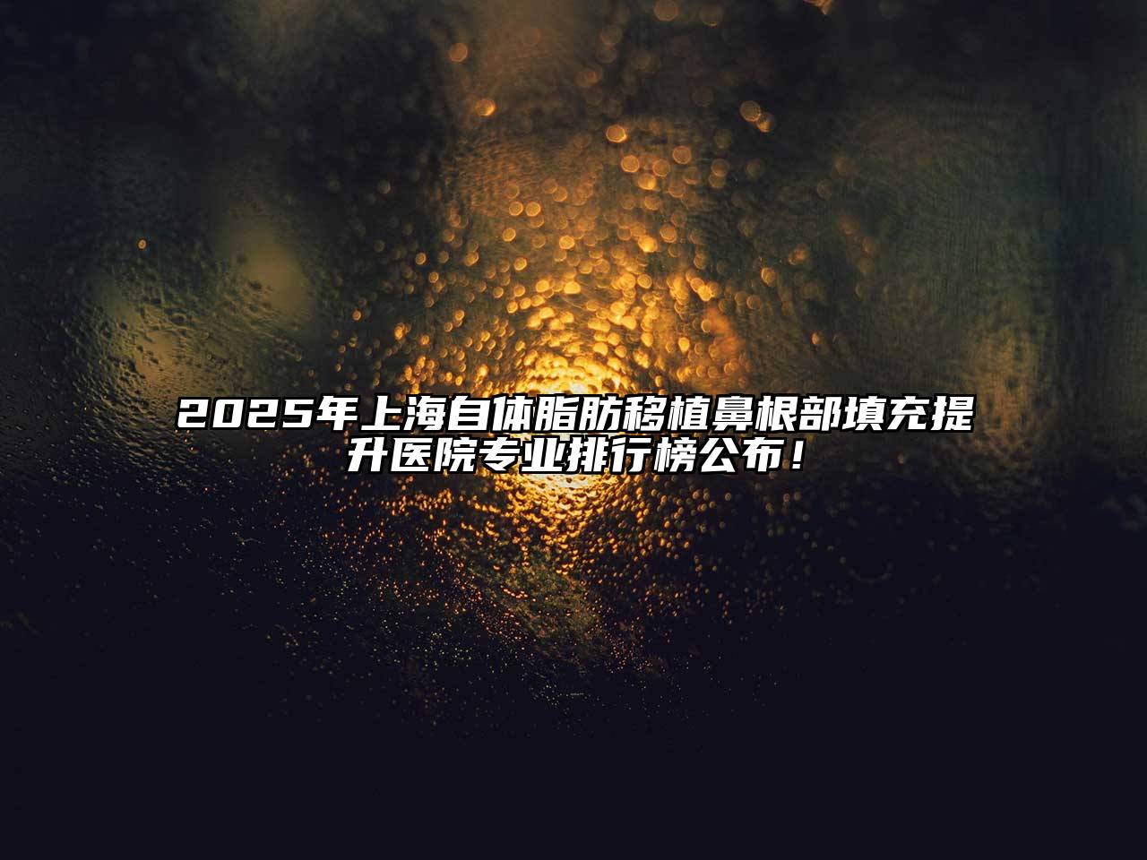 2025年上海自体脂肪移植鼻根部填充提升医院专业排行榜公布！