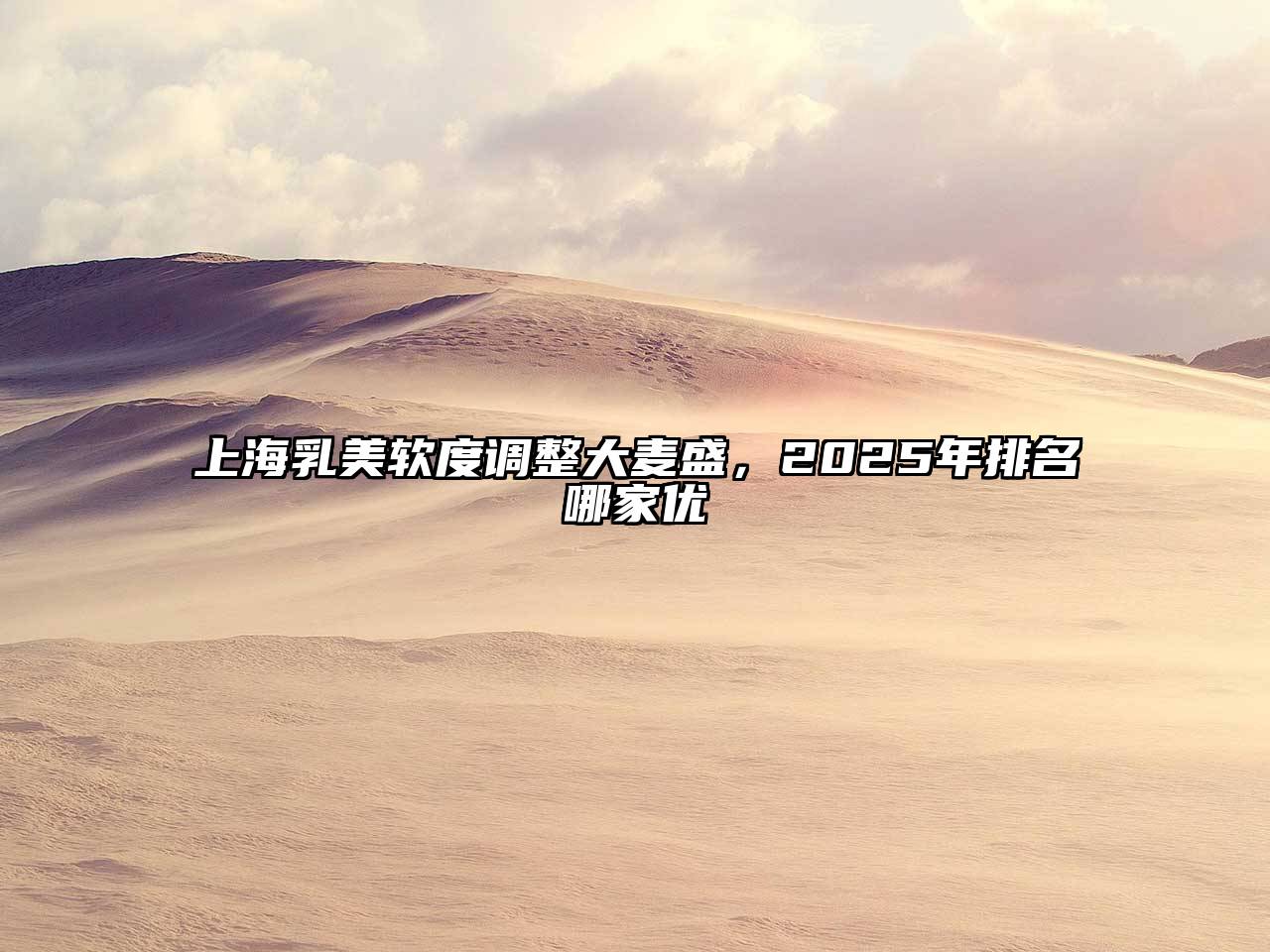上海乳美软度调整大麦盛，2025年排名哪家优