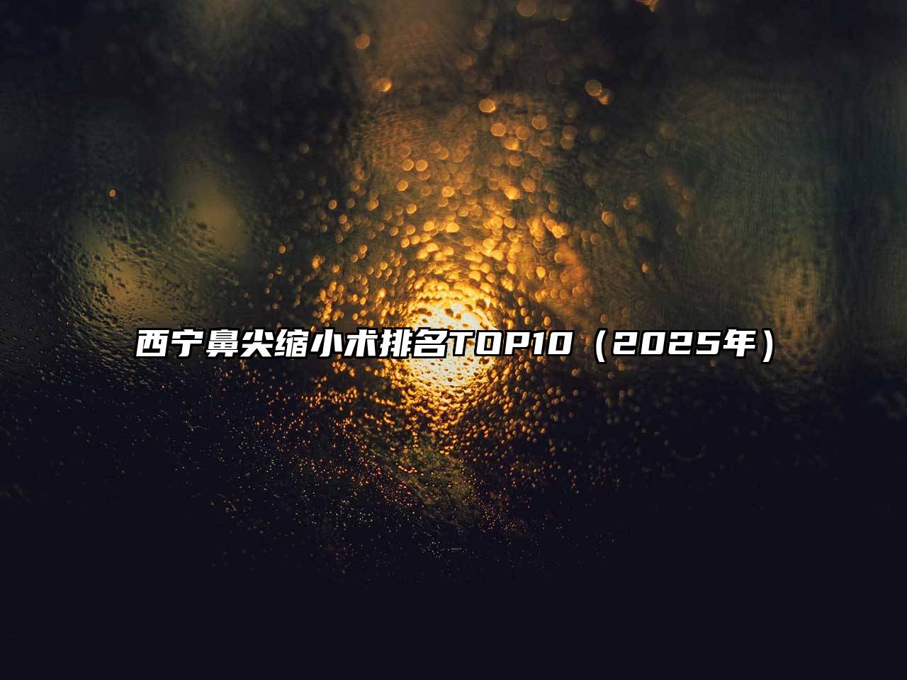 西宁鼻尖缩小术排名TOP10（2025年）