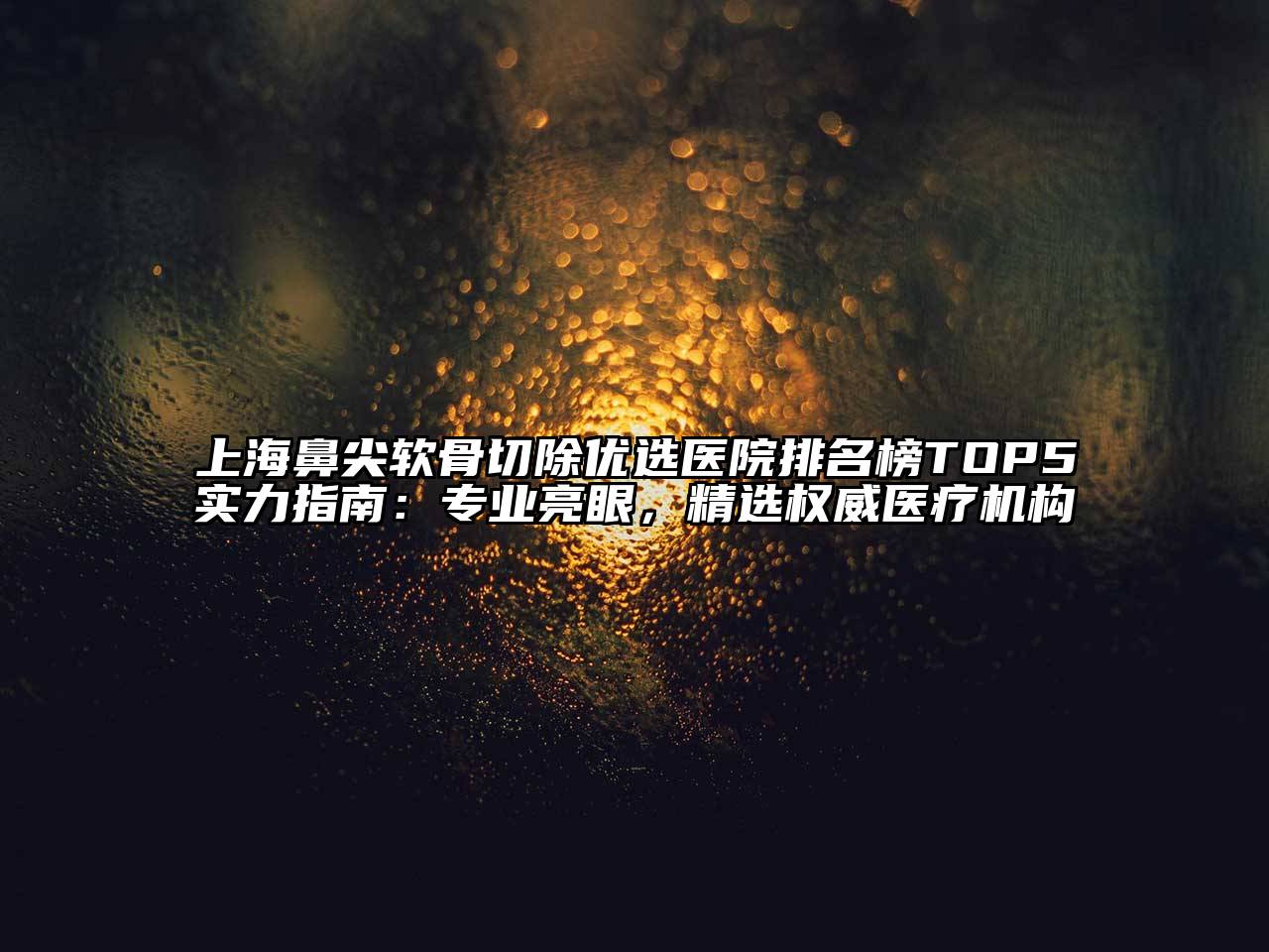 上海鼻尖软骨切除优选医院排名榜TOP5实力指南：专业亮眼，精选权威医疗机构