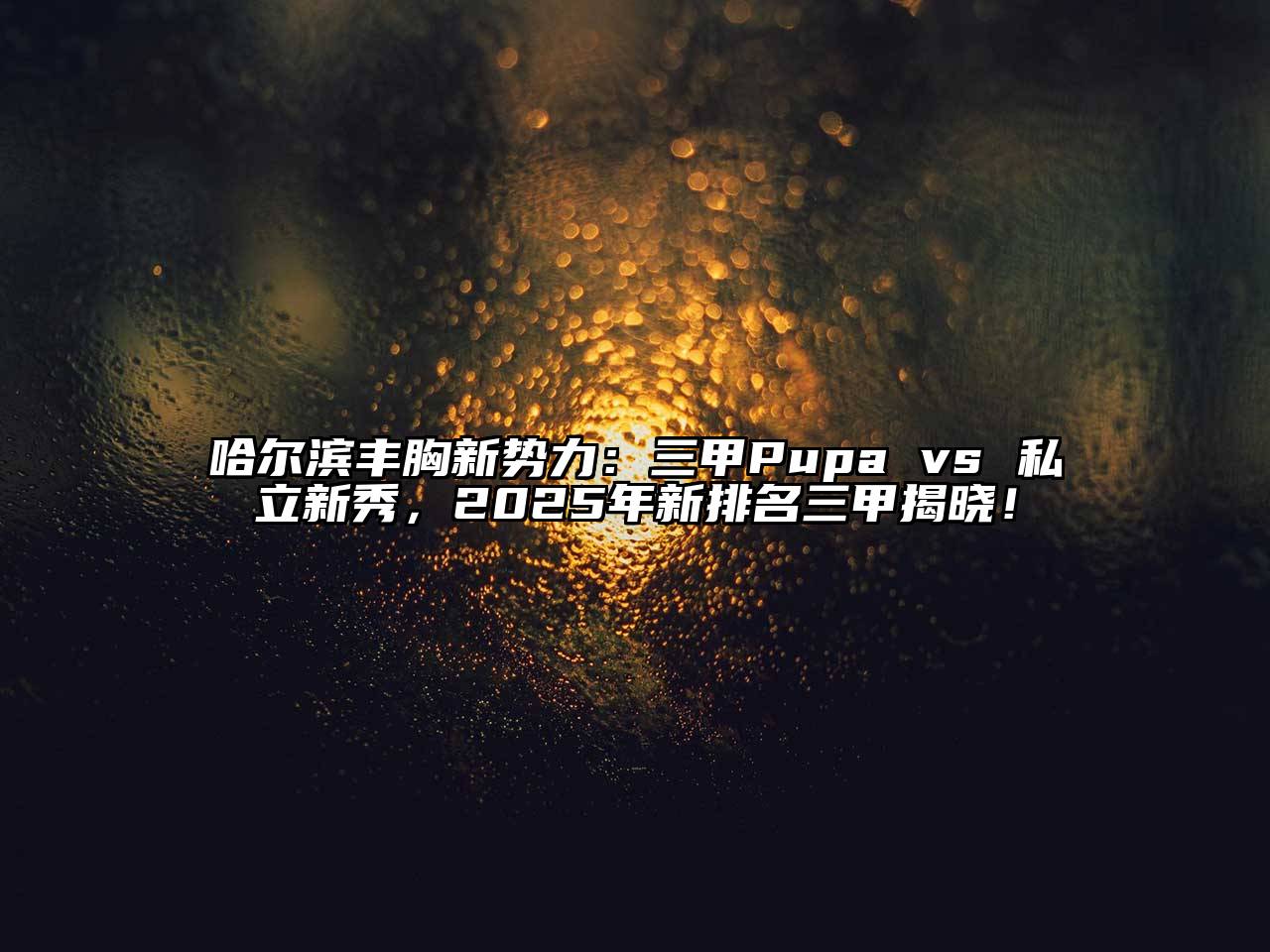 哈尔滨丰胸新势力：三甲Pupa vs 私立新秀，2025年新排名三甲揭晓！