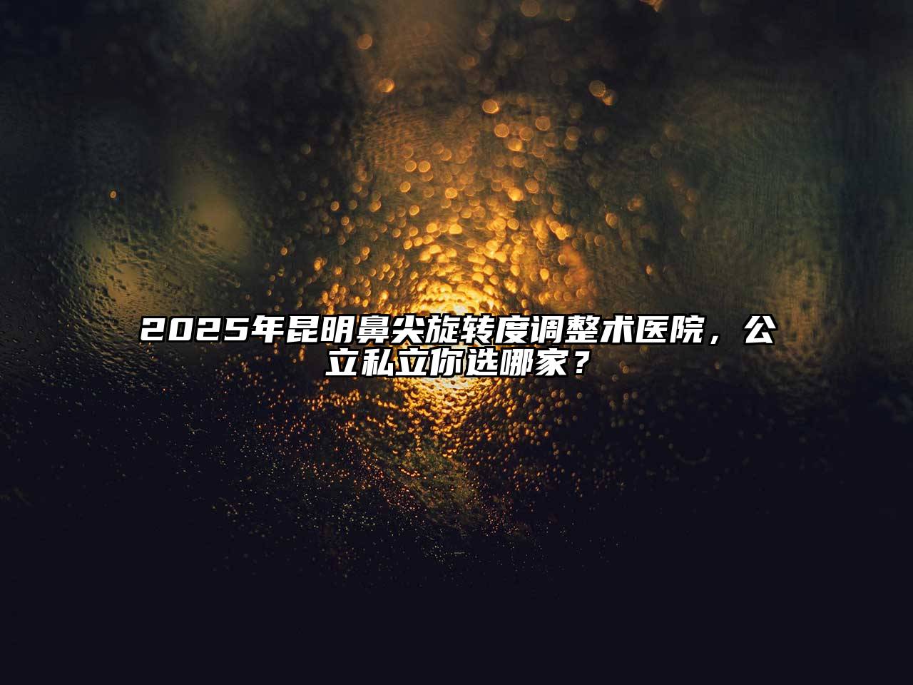 2025年昆明鼻尖旋转度调整术医院，公立私立你选哪家？