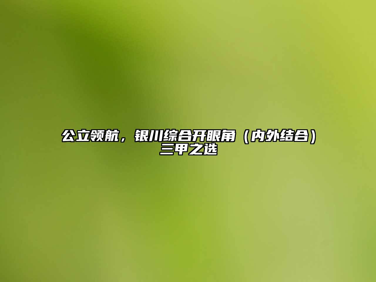 公立领航，银川综合开眼角（内外结合）三甲之选