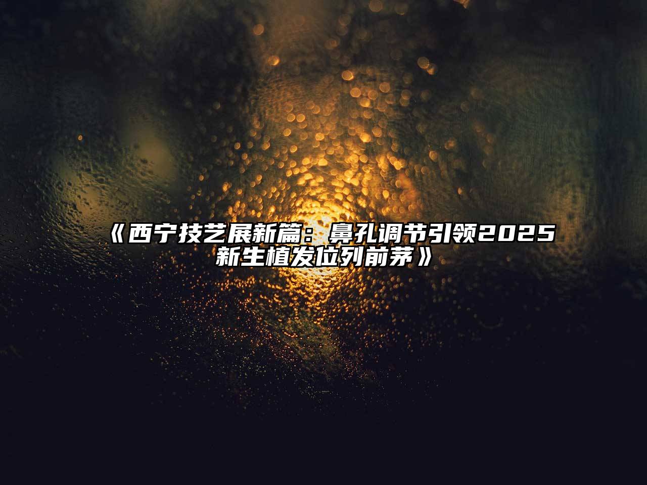 《西宁技艺展新篇：鼻孔调节引领2025新生植发位列前茅》