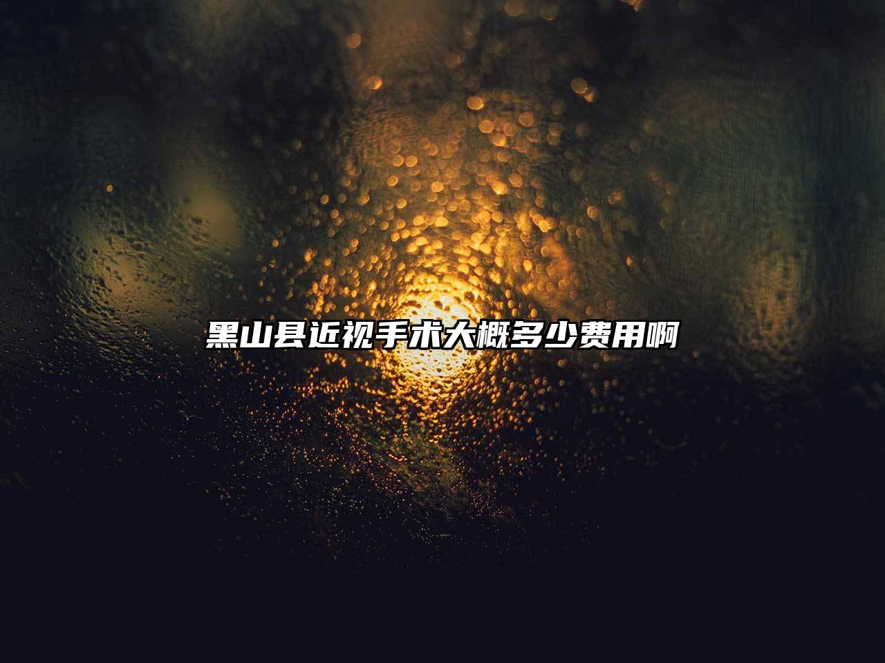 黑山县近视手术大概多少费用啊
