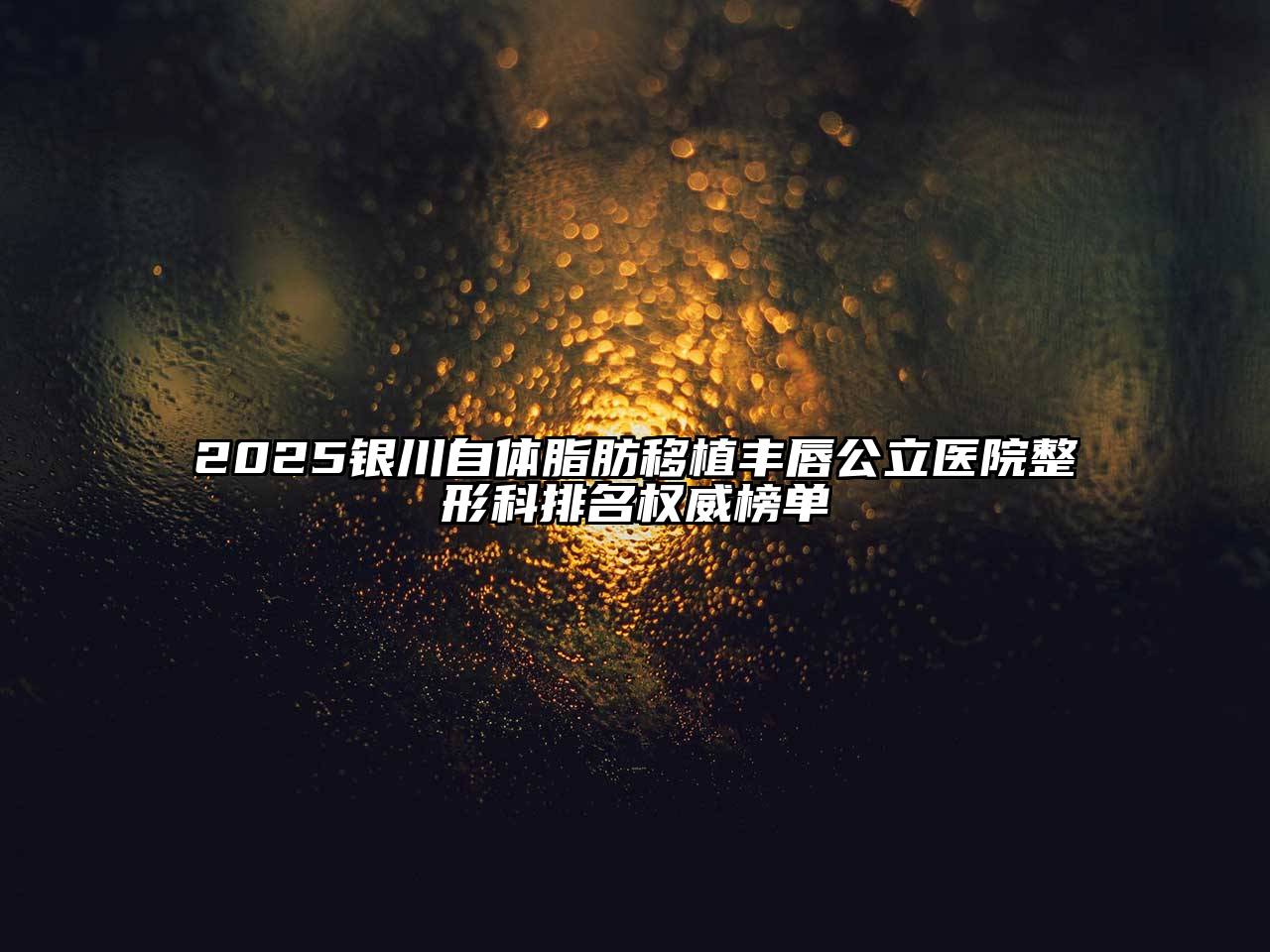 2025银川自体脂肪移植丰唇公立医院整形科排名权威榜单